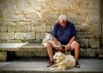 The Role of Pets in Managing Arthritis: A Comprehensive Overview