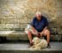 The Role of Pets in Managing Arthritis: A Comprehensive Overview